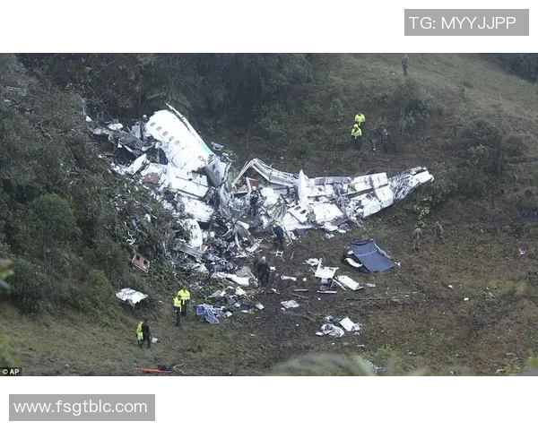 外国飞机失事导致足球明星不幸遇难引发全球哀悼与关注